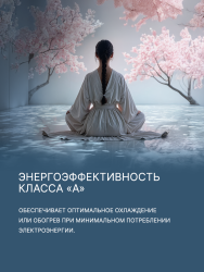 Сплит-система Aqua AQ-25BRQ1/R3(IN)/AQ-25BRQ1/R3(OUT) Biwa